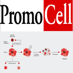 Promo Cell