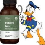 Turkey Tail Mushroom