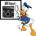 MRI Report Explained